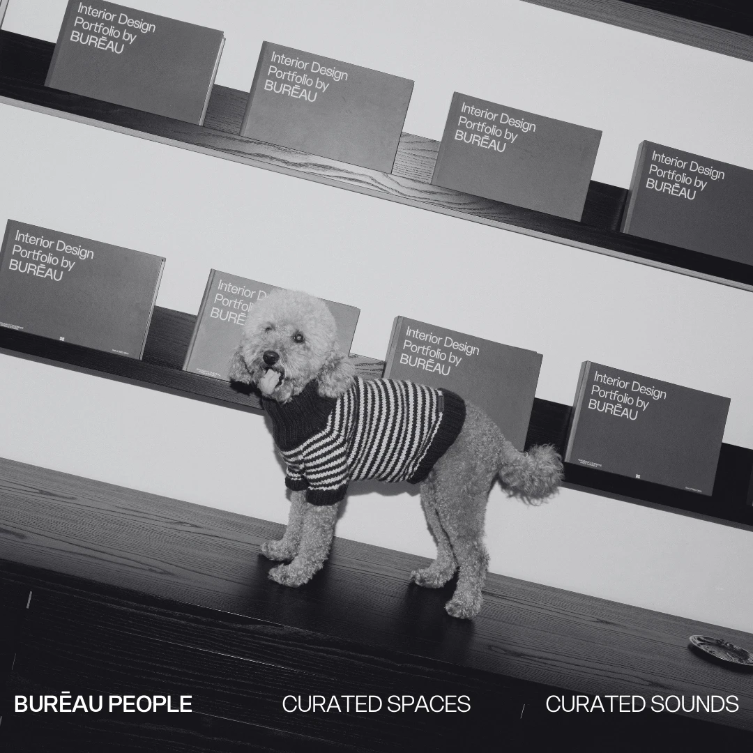 Burēau x Team Burēau